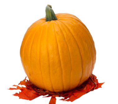 Sonbahar ya Şükran veya halloween dekorasyon üzerine beyaz izole