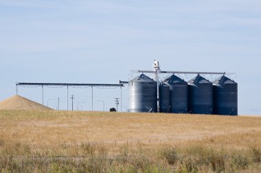 Silos and grain pile on ground clipart