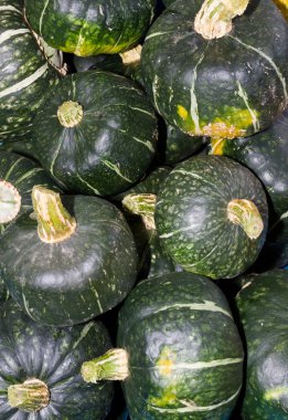 Buttercup winter squash on display clipart