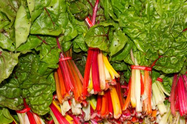 taze swiss chard Çiftçi Market