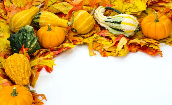 Herbstarrangement mit Blättern und Kürbissen — Stockfoto