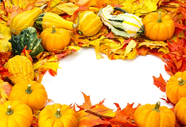 Fall border arrangement of leaves gourds pumpkins — Stock Photo, Image