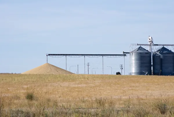 Зернові силоси з купою зерна — стокове фото