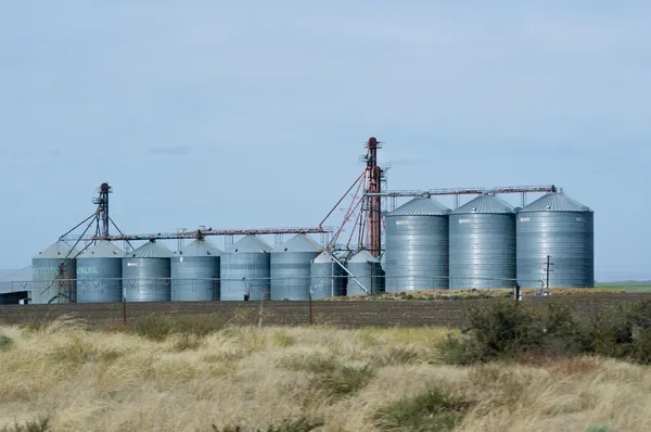 Silos de armazenamento de grãos de aço com campo colhido — Fotografia de Stock