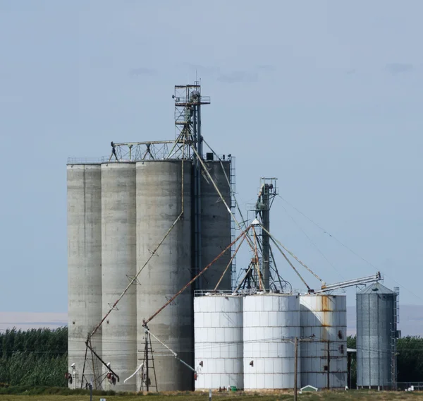 Graan opslag silo's en liften — Stockfoto