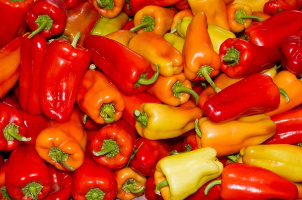 Colorful red peppers on display — Stock Photo, Image