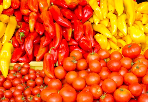 Exhibición colorida de verduras — Foto de Stock
