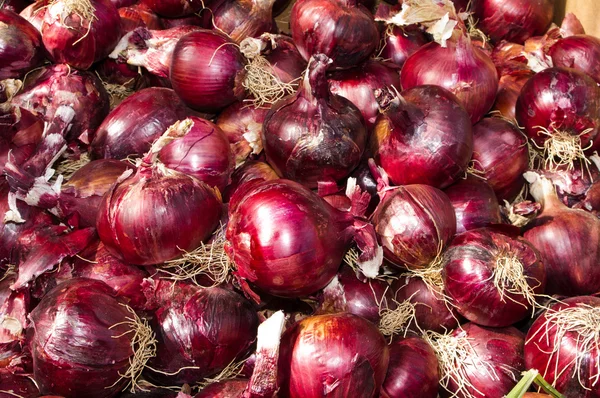 Red onions on display — Stock Photo, Image