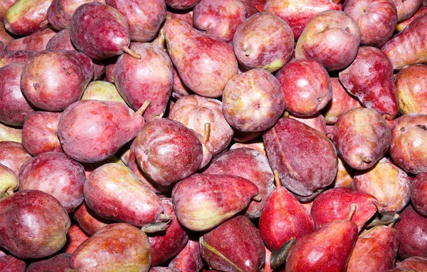 Nyskördade röda bartlett päron på displayen — Stockfoto