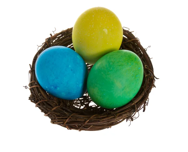 Small birds nest with three Easter eggs — Stock Photo, Image