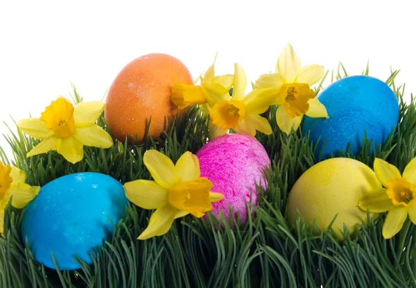 Renkli boyalı Paskalya yumurtaları ve çimen çiçekler — Stok fotoğraf