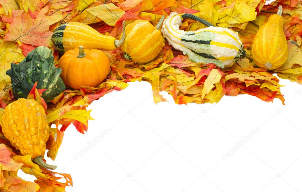 Fall or Thanksgiving or Halloween decoration isolated on white