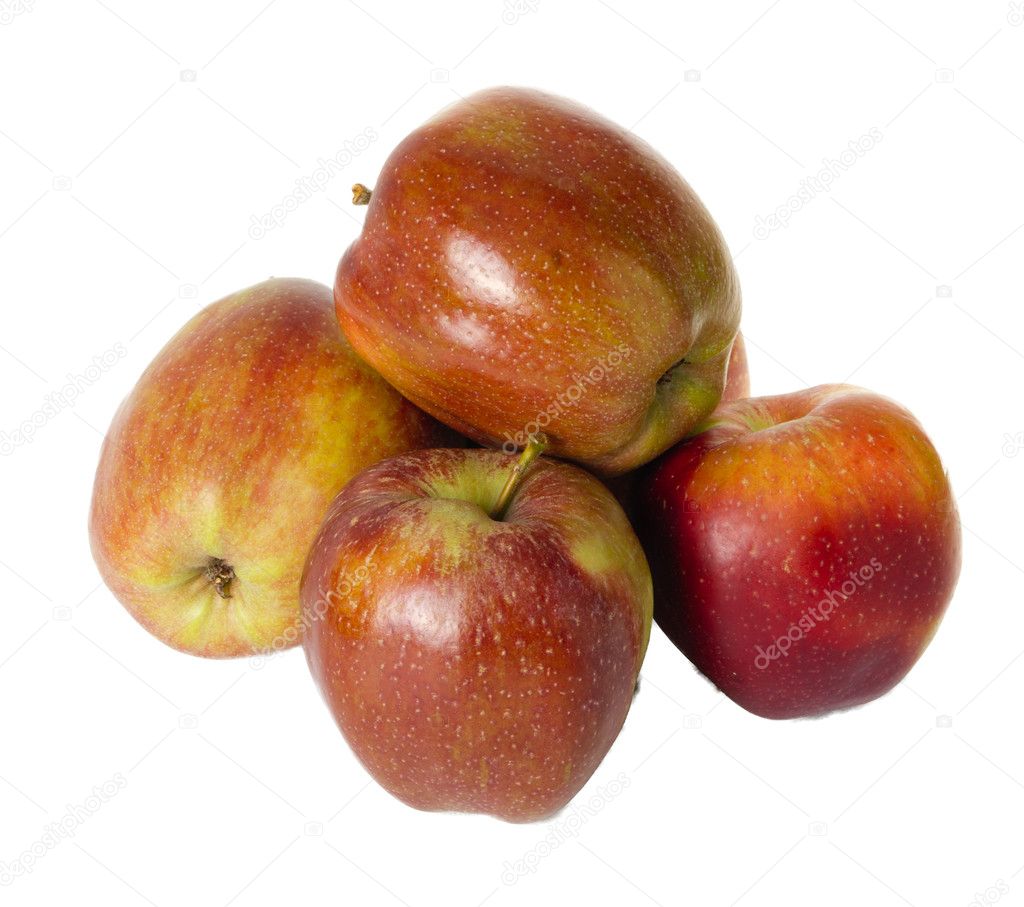 Spitzenburg apples isolated on white