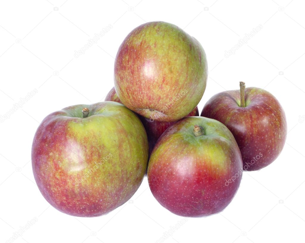 McIntosh apples isolated on white