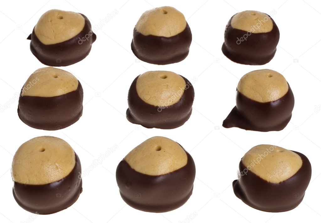 Nine buckeye peanut butter cookies isolated on white