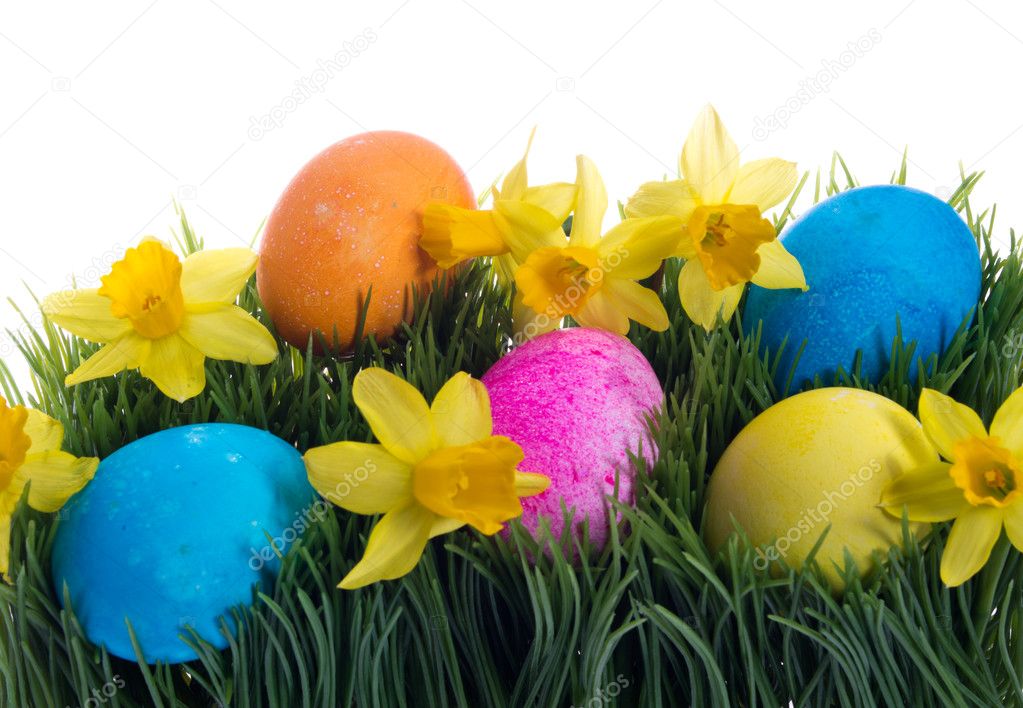 Colorful dyed Easter eggs and flowers in grass