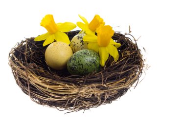 Birds nest with dyed colorful eggs and flowers clipart