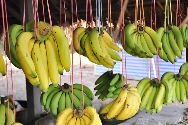 Gelbe Banane — Stockfoto