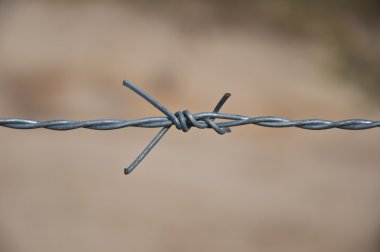 Barbed wires
