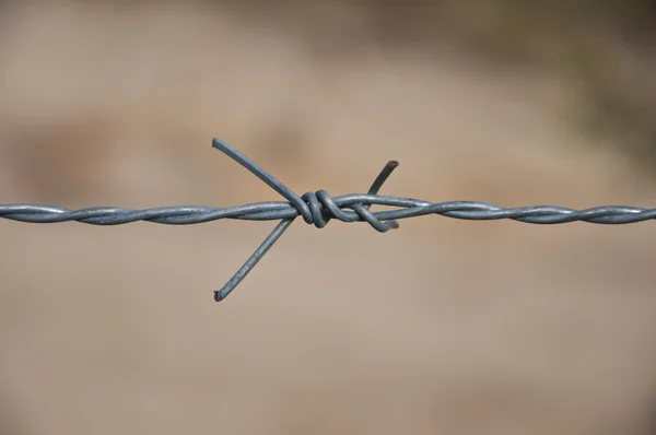 stock image Barbed wires