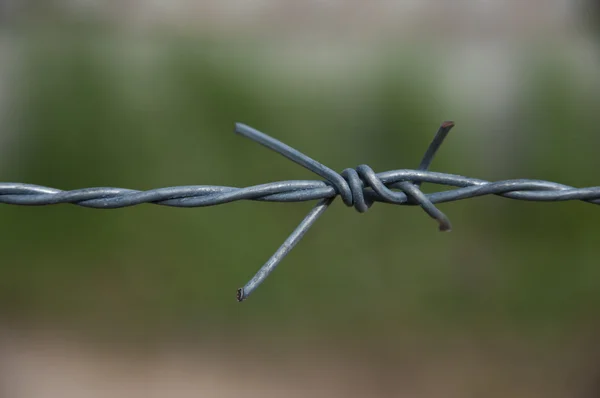 stock image Barbed wires