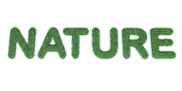 Green grass nature text