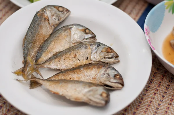 Fried of mackerel fish — Stock Photo, Image