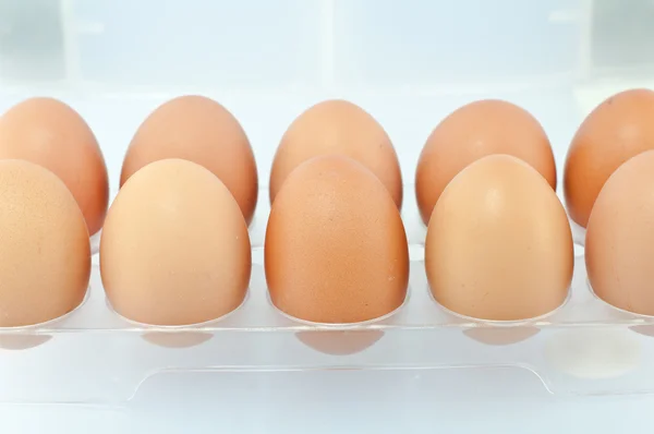 Eier in der Verpackung — Stockfoto