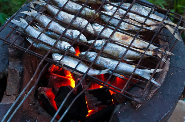 Peixe grelhador — Fotografia de Stock