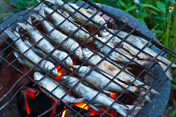 stock image Grill fish