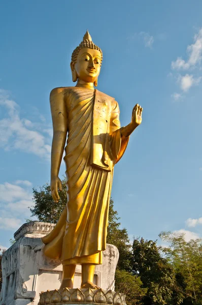 Velký buddha socha stojan — Stock fotografie