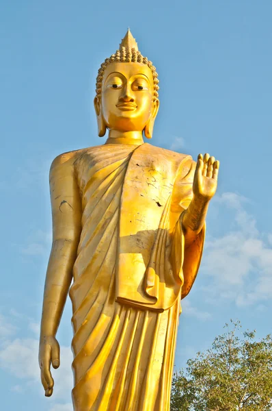 Grande estátua de Buda stand — Fotografia de Stock