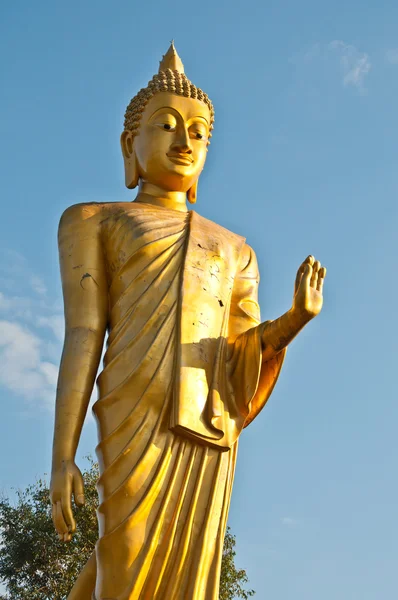 Big Buddha statue stand Royalty Free Stock Photos