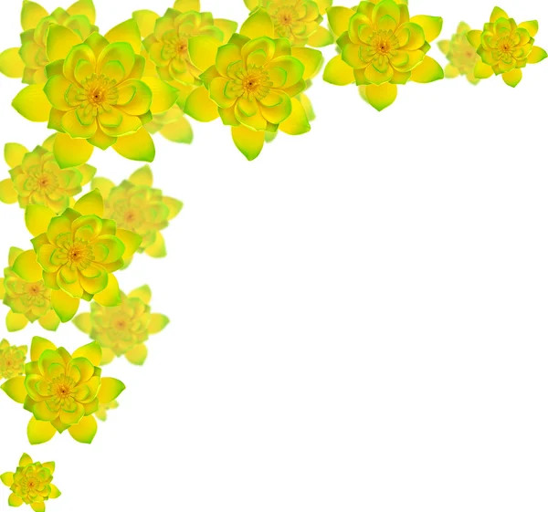 Желтый лотос — стоковое фото