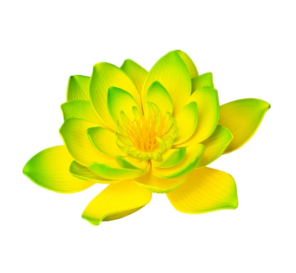 Sarı lotus — Stok fotoğraf