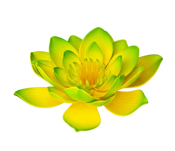 Sarı lotus — Stok fotoğraf