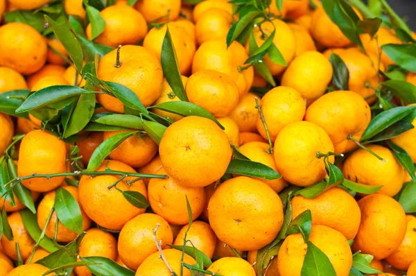 Yellow of Orange — Stock Photo, Image