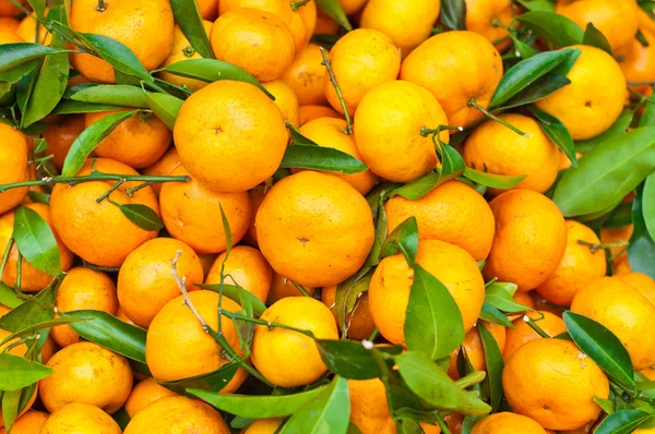 Gelb von Orange — Stockfoto