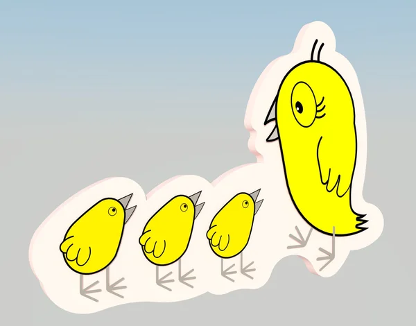 家庭的鸡来隔离背景清晰颜色黄色 — 图库照片