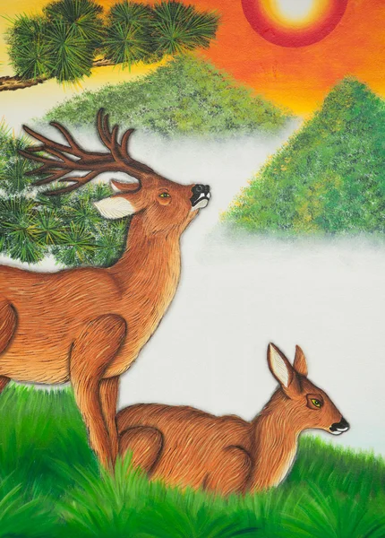 Two deer — Stock Photo, Image