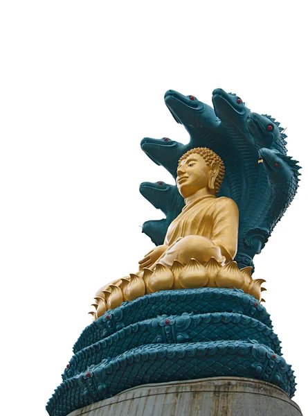 Buddha dengan ular besar — Stok Foto