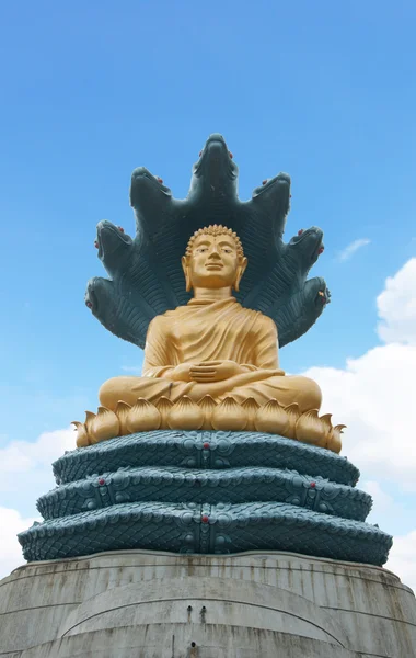 Buddha with big snake — Stock Photo, Image