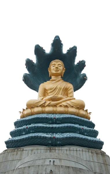 Boeddha met grote slang — Stockfoto
