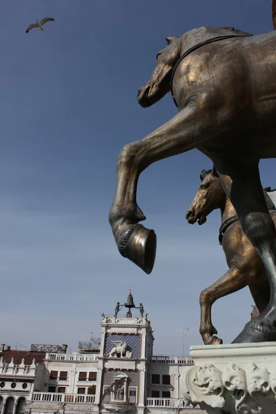 stock image The Quadriga of St. Mark's