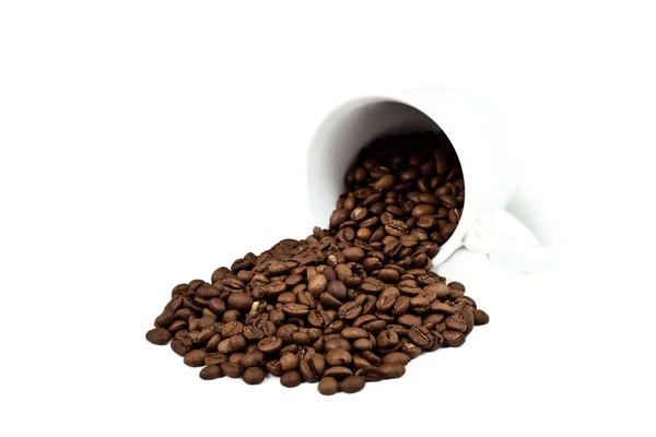 stock image A cup with coffee beans