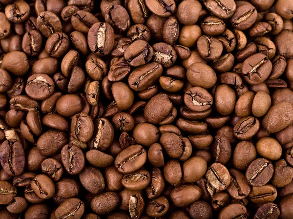 stock image Coffee beans