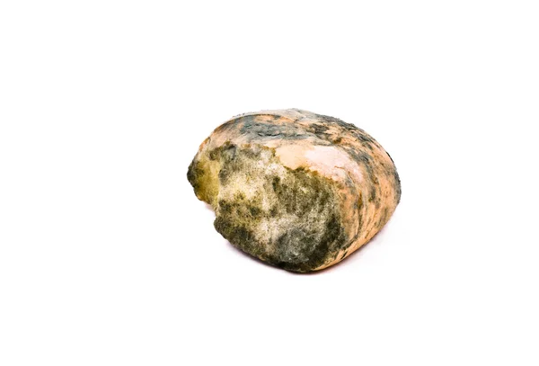 Кусок хлеба с плесенью — стоковое фото