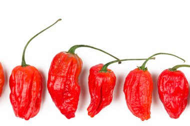 Naga morich clipart