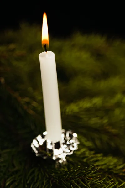 Candle on Christmas tree — Stock Photo, Image