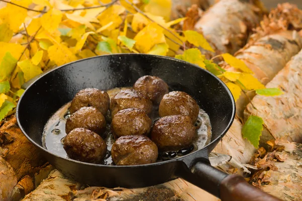 stock image Reindeer meatballs